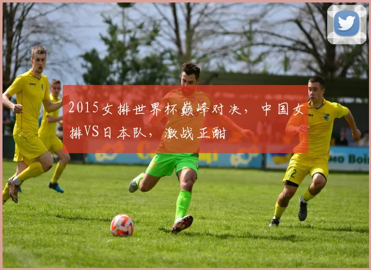 2015女排世界杯巅峰对决，中国女排VS日本队，激战正酣