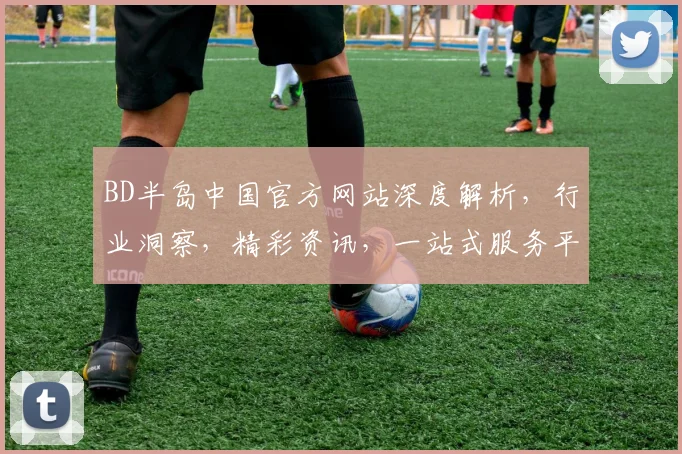 BD半岛中国官方网站深度解析，行业洞察，精彩资讯，一站式服务平台，领先行业资讯平台